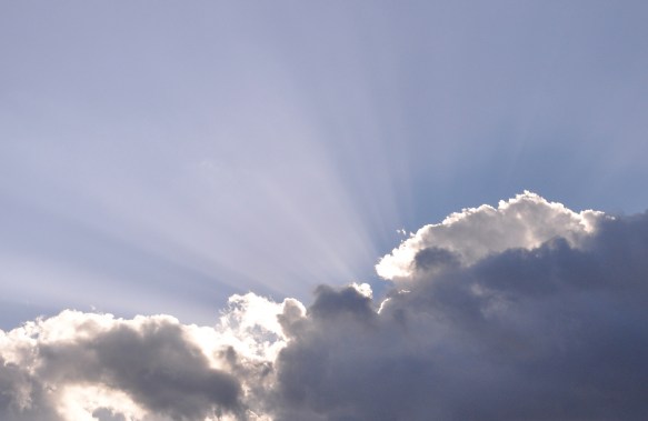 Sunbeams in Hobart Tasmania